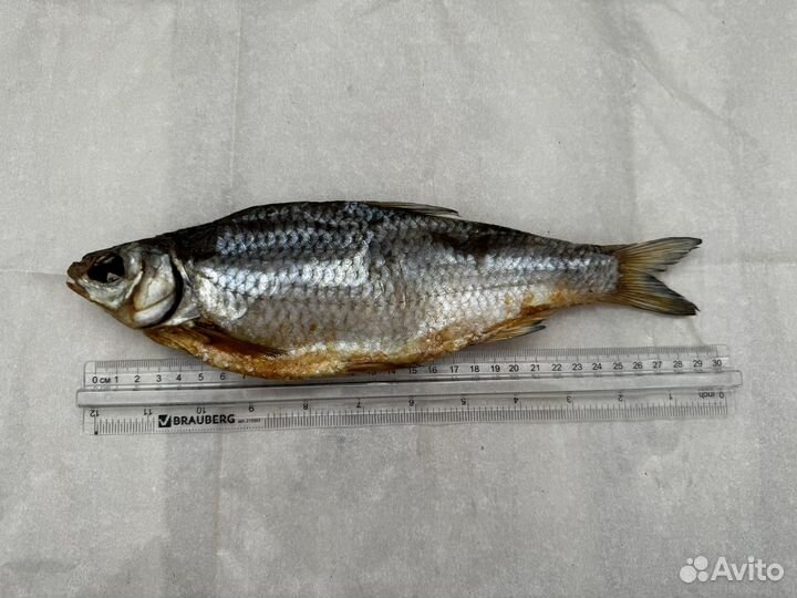 Астраханская вобла