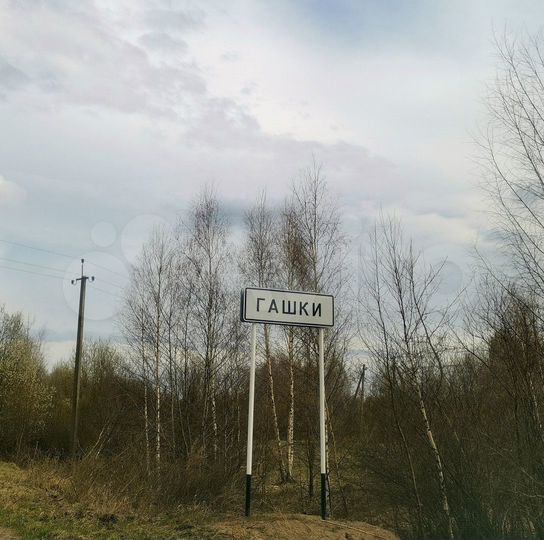 Участок 100 га (СНТ, ДНП)