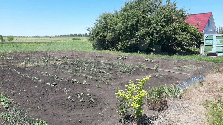 Участок 9 сот. (СНТ, ДНП)