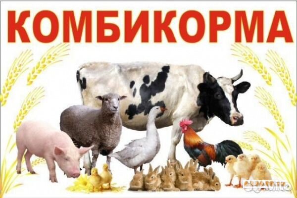 Комбикорма