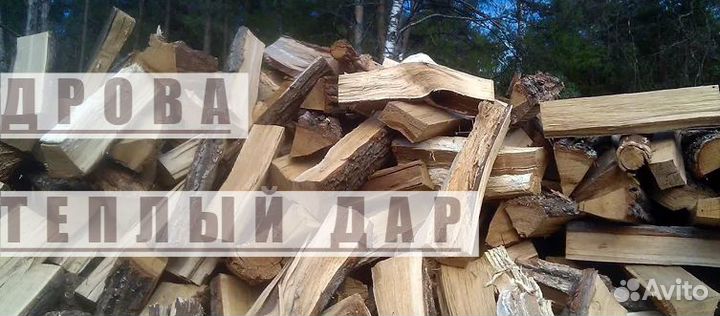 Дрова сухие