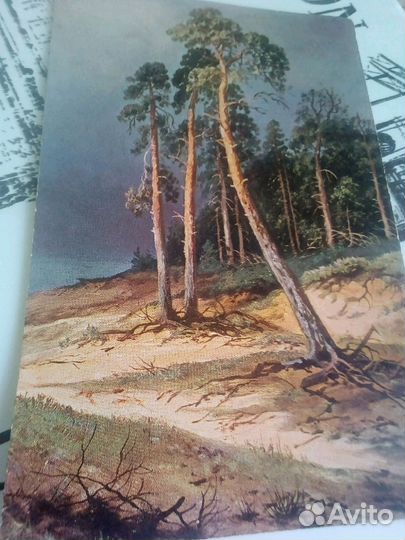 И.И.Шишкин Перед грозой