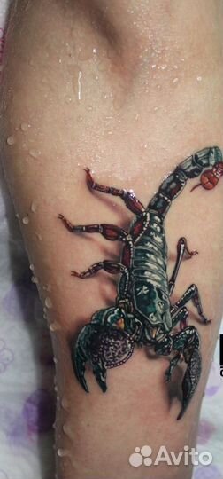 Татуировка от профессионала