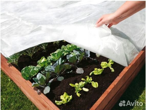 Укрывной материал спанбонд