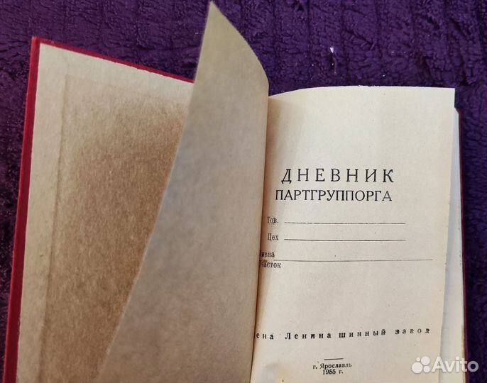 Дневник партгруппорга СССР