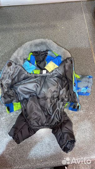 Одежда для собак