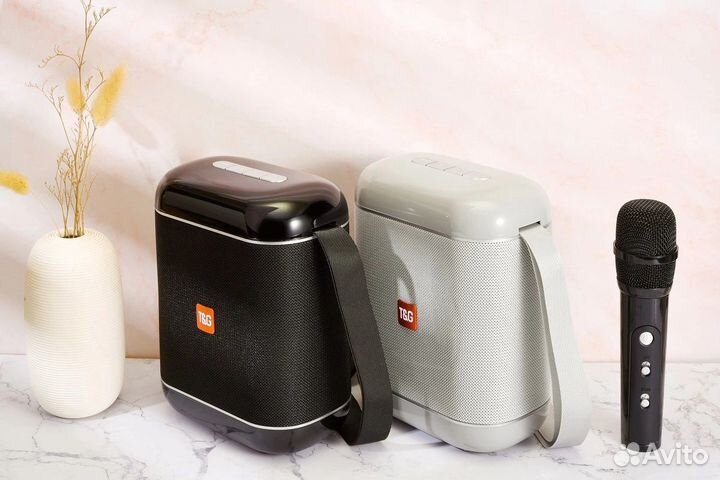 Беспроводная стерео караоке система T&G TG523K
