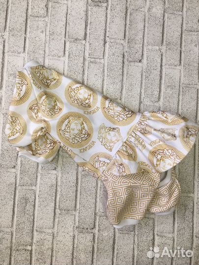 Одежда для маленьких собак