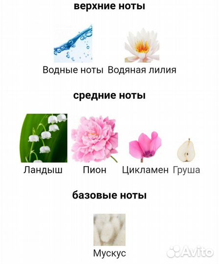 Первый выпуск Rose Valentin Yudashkin by Faberlic