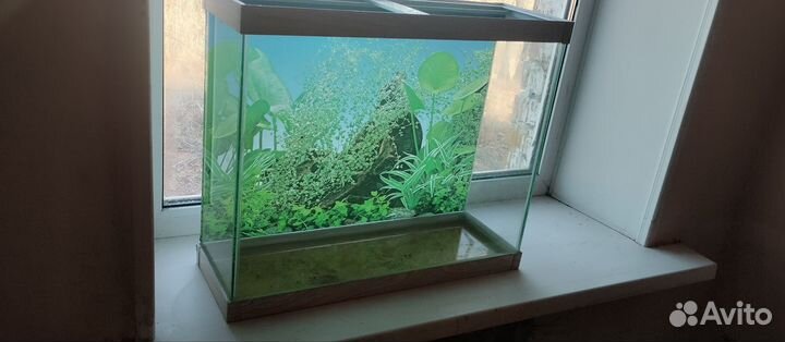 Аквариум 60л
