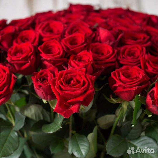 Цветы розы букет