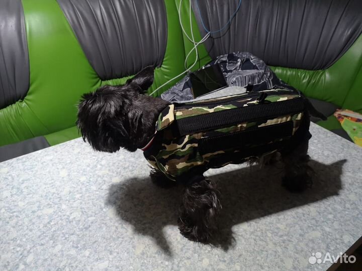 Лечебные корсеты для животных