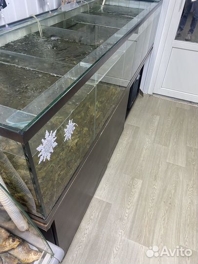 Аквариум под раков