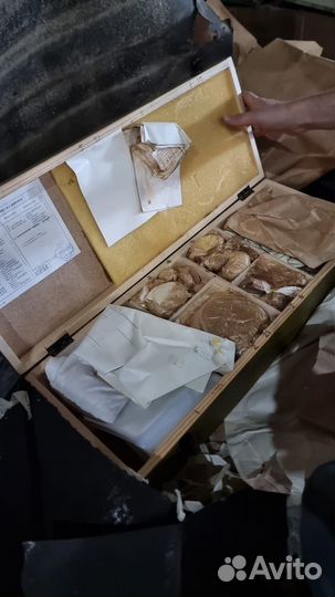 Микроскоп Люмам Р 8