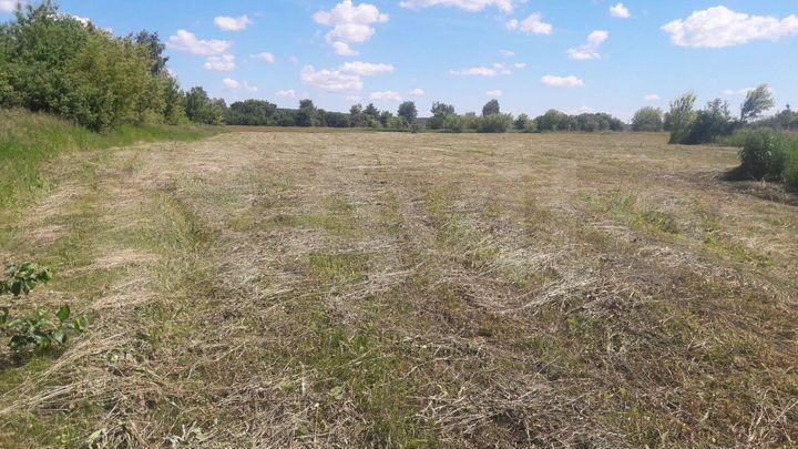 Участок 30 сот. (ИЖС)