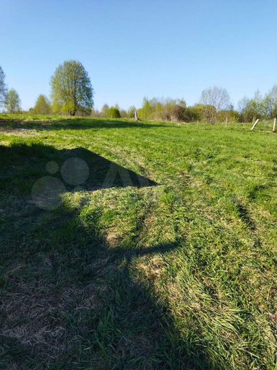 Дом 77 м² на участке 40 сот.