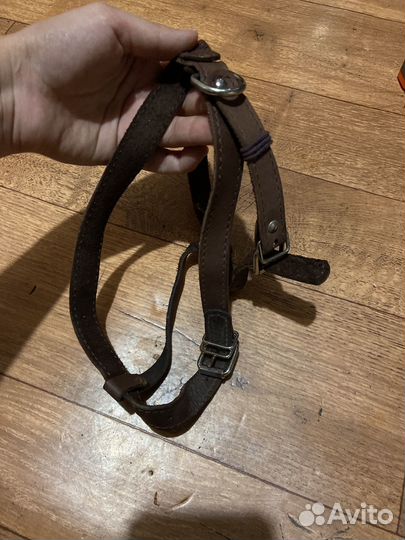 Шлейка, ошейник