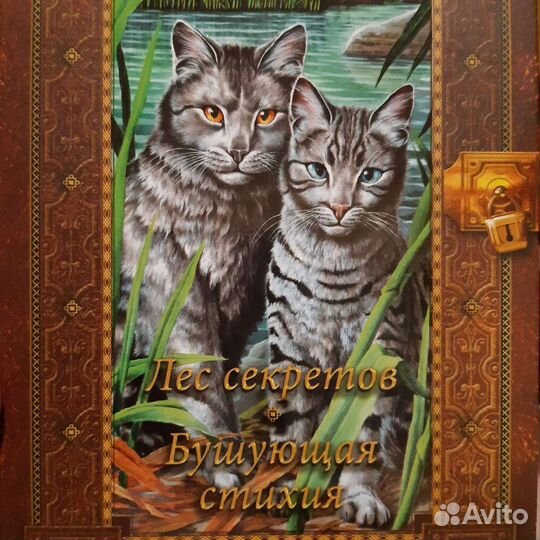 Книга Коты-Воители Эрин Хантер
