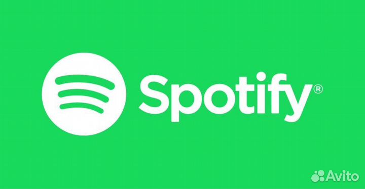 Spotify Premium 3/6/12 месяцев
