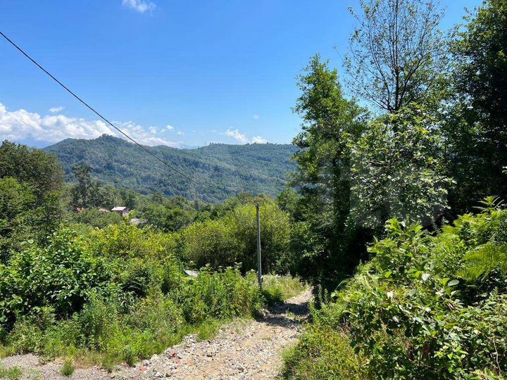 Участок 3 сот. (СНТ, ДНП)