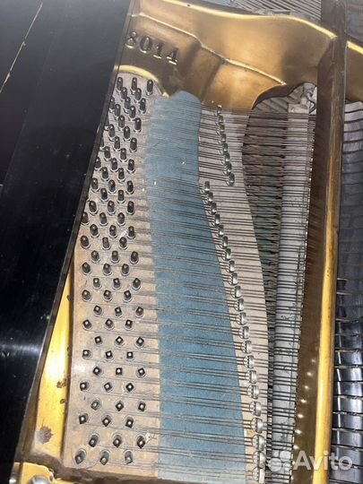 Рояль шредер