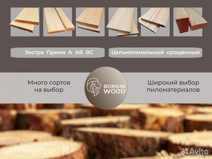 Вагонка ангарская сосна