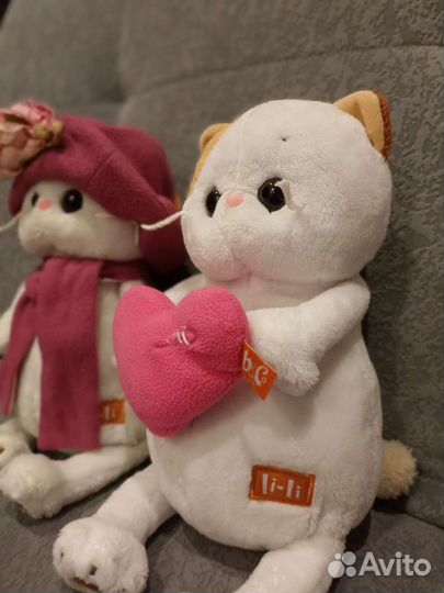 Котики Басик