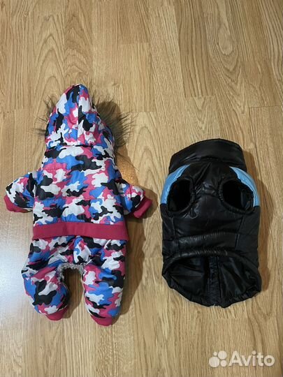 Одежда для собак мелких пород