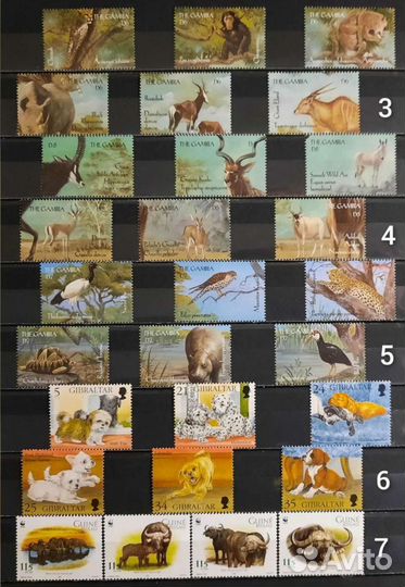Коллекция марок фауна 60-90х 13 (чистые)