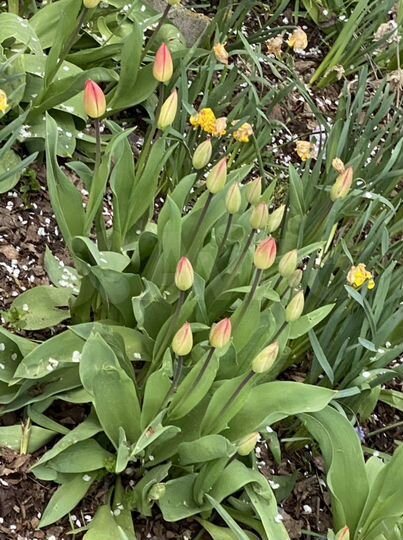 Дом 130 м² на участке 15 сот.