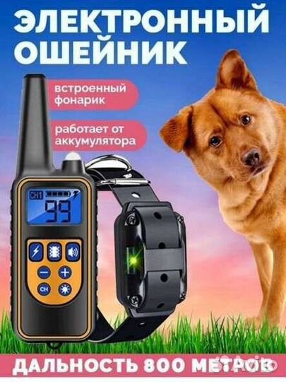 Ошейник для дресировки собак