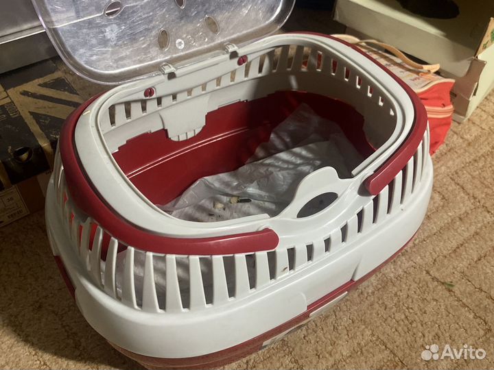 Клетка с крысами