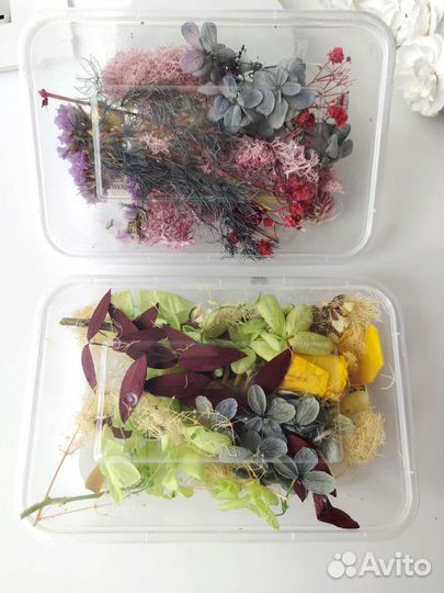 Сухие цветы в коробке, сухоцветы