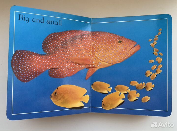 Книжка-малышка на английском