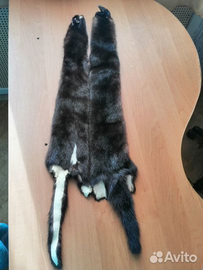 Шкурки норки