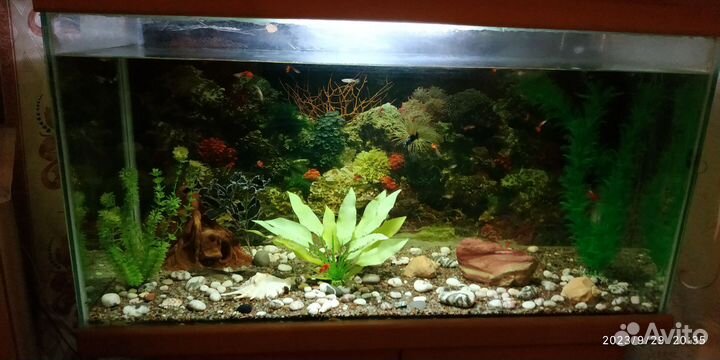 Аквариум
