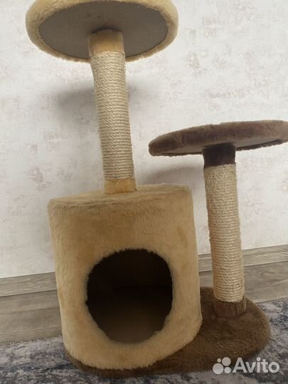 Когтеточка с домиком бу