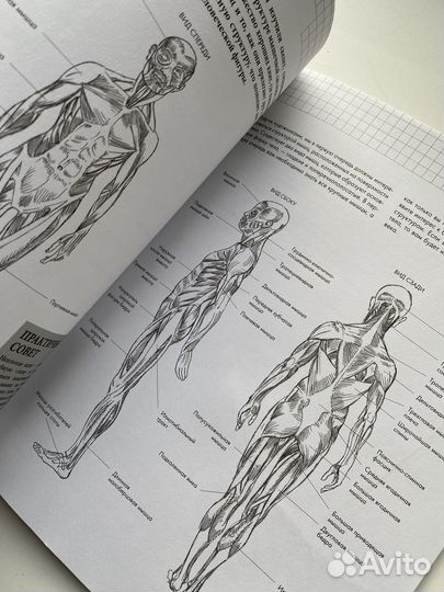 Книги по рисованию