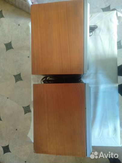 Акустические колонки Вега 15ас-109