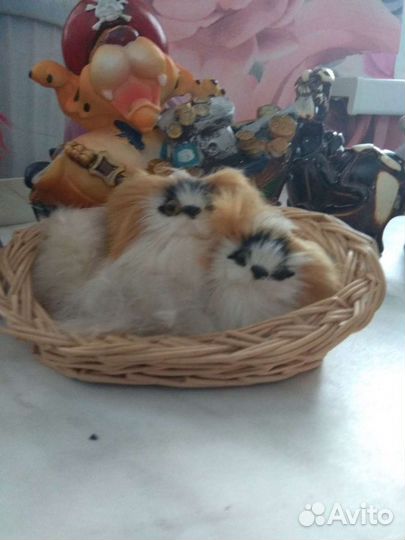 Статуэткаи