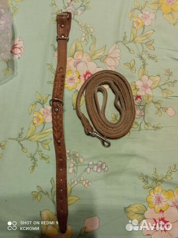 Поводок, ошейник, шлейка для собак