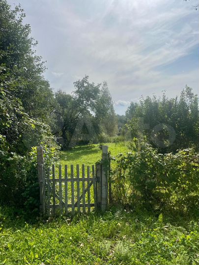 Дача 53,7 м² на участке 47 сот.