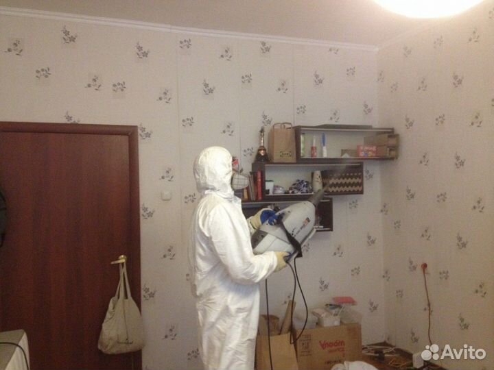 Дезинфекция уничтожение клопов тараканов клещей