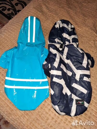 Дождевик и зимняя куртка для собак