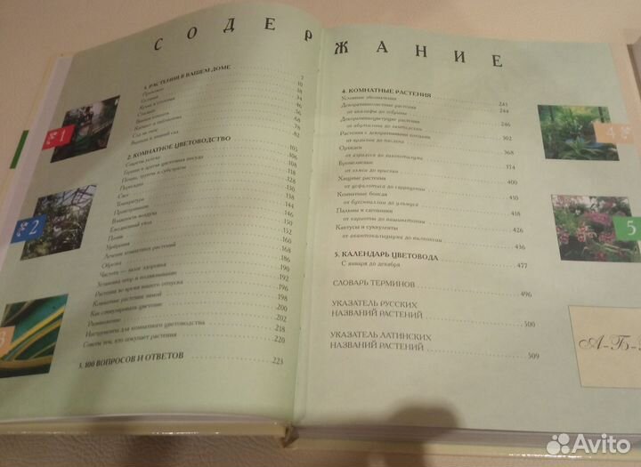 Комнатные растения энциклопедия