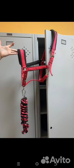 Недоуздок для лошади