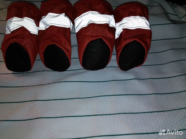 Ботинки для собак