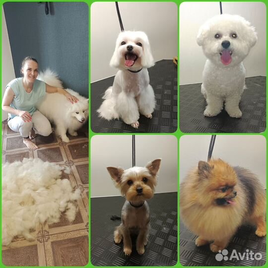 Грумер стрижка собак