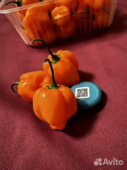 Перец хабанеро оранжевый