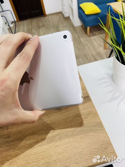 iPad mini 4 cellular